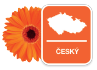 ico-cesky